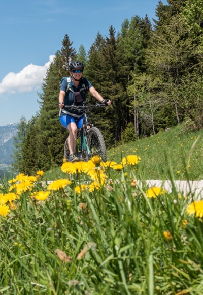 Anstieg zur Großhütte, im Hintergrund das Sengsengebirge