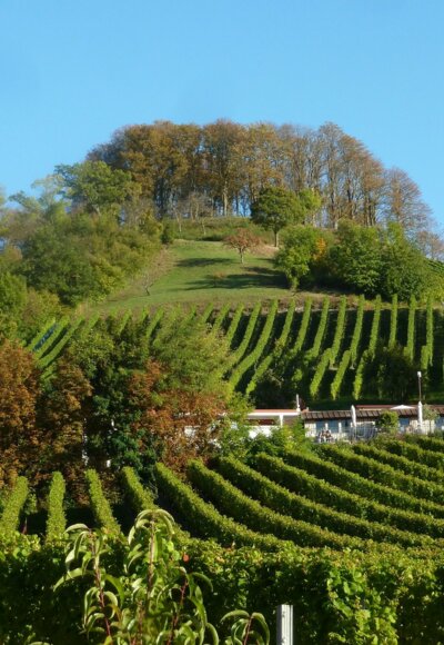 Casteller Schlossberg