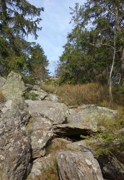 Blockmeer zum Zwercheck