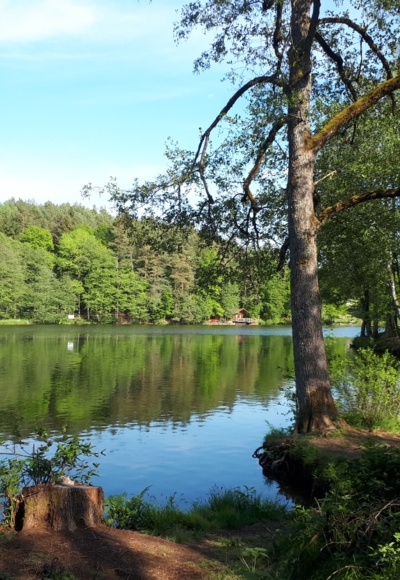 Dreiburgenseerunde (kurz)