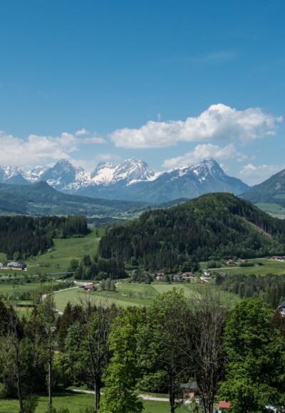 Blick über das Windischgarstener Becken zu Spitzmauer, Großem Priel, Kleinem Priel und Tamberg
