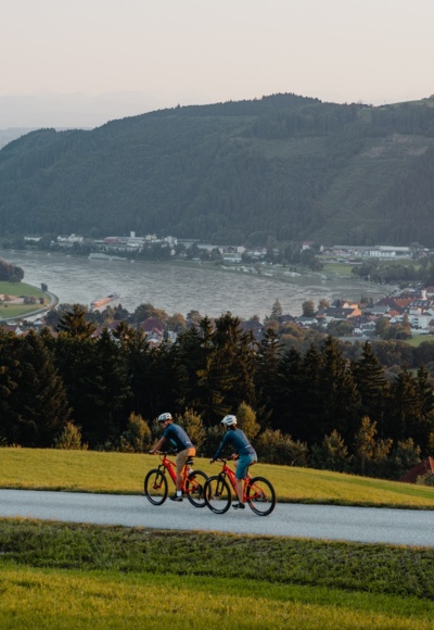 Blick auf Grein
