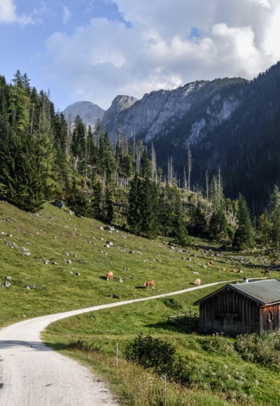 Die Gotzentalalm