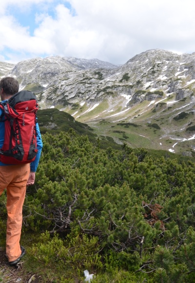 Vom Happischhaus zur Streitmandlscharte führt ein hübsches Almtal.