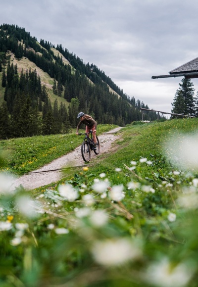 MTB-Tour Enning Alm