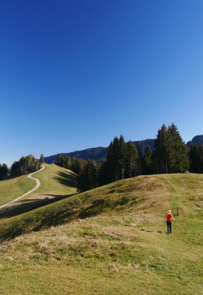 Die Landschaft rund um den Hündlekopf