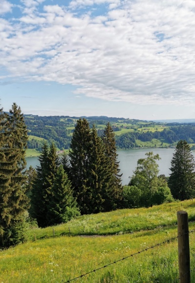 Schon nach wenigen Höhenmetern eröffnet sich der Blick zum Großen Alpsee