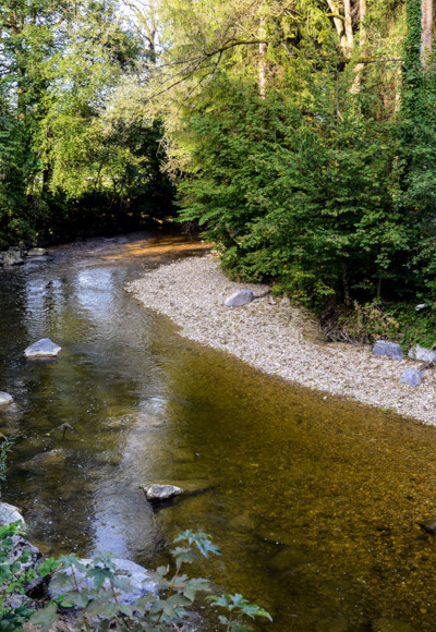 Naturerlebnis im unteren Leiblachtal