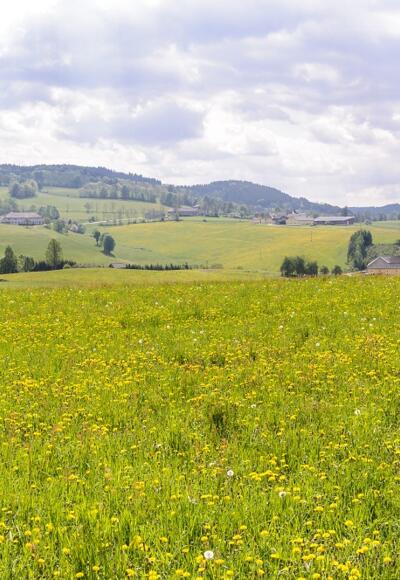 Herrliche Aussicht von der TraumArena