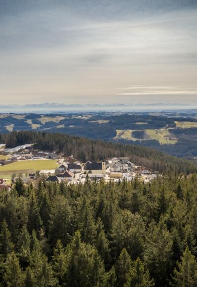 S21 Grüne Band Runde