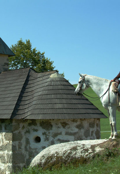Einführungsrunde Wanderreiterhof Kern