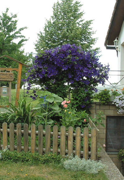 Große Kräuterland-Tour