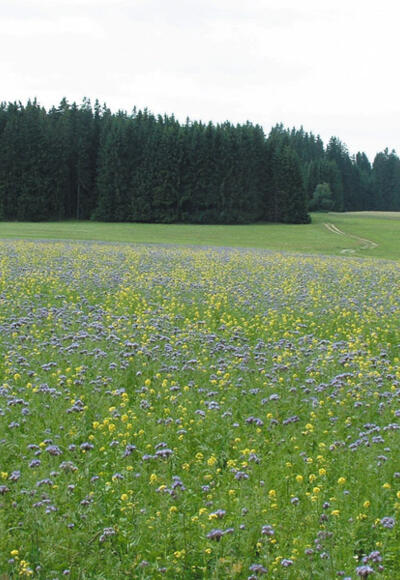 Kleine Kräuterland Tour