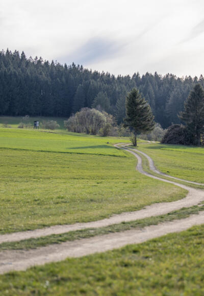 Ökowanderweg