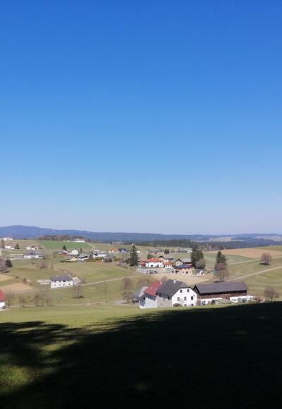 Hoch 3