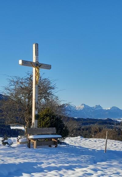Auf dem Weg zum Eckberg