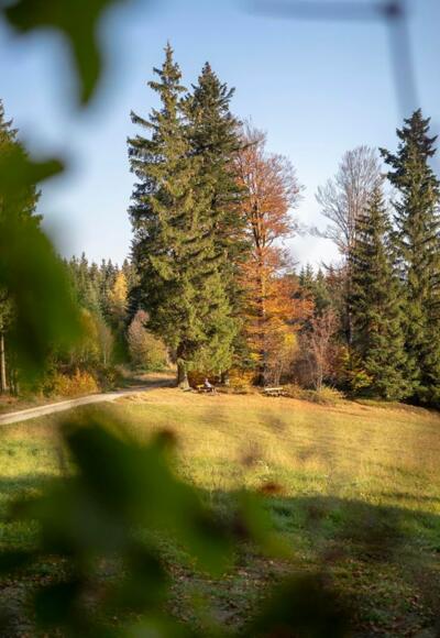S8 Naturgenuss Weg