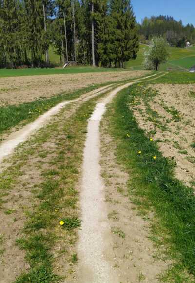 41 Trabergrunde
