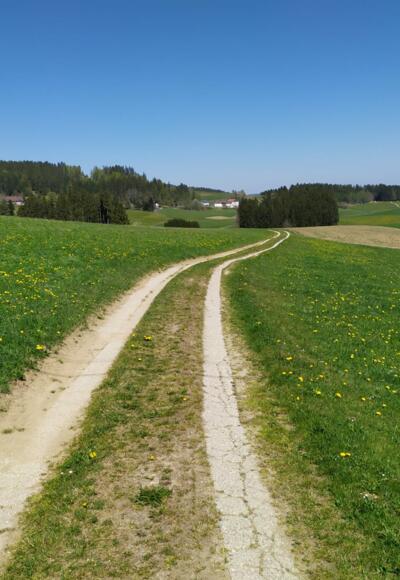 42 Spitzwies Wanderweg