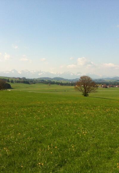 Unweit von Steingaden hat man einen grandiosen Alpenblick