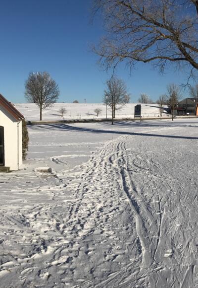 An der Loipe in Altenstadt