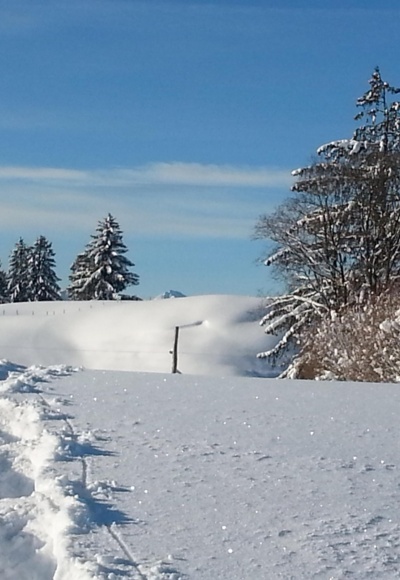 Auf dem Weg zum Mühleck
