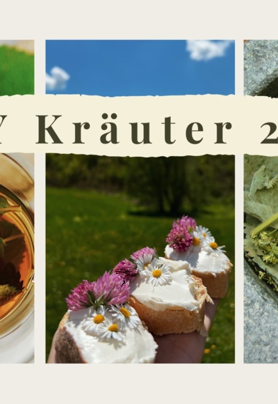 DYI Kräuter 2 Go