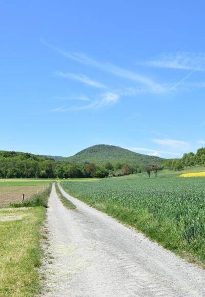Kleiner Elstalweg, Rhön-Rundweg 11 Oberelsbach_1