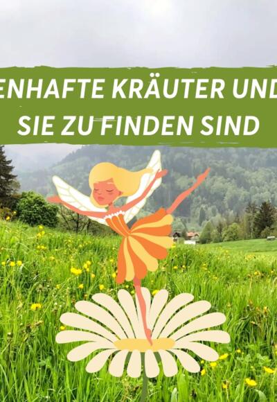 Sagenhafte Kräuter und wo sie zu finden sind - Titelbild