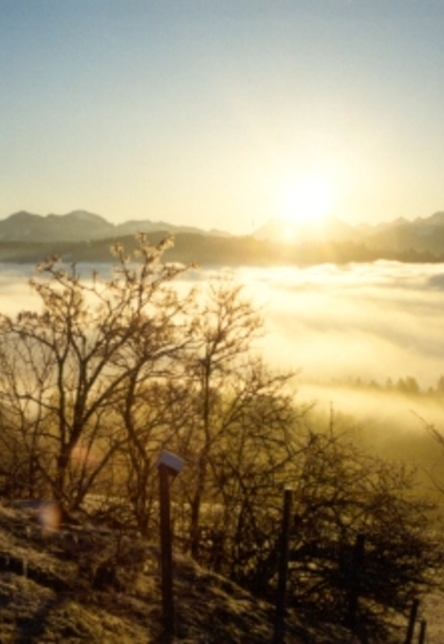 Sonnenaufgang im Allgäu