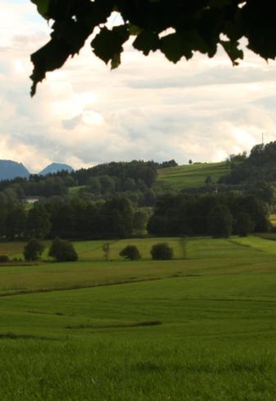 Thalkirchner (Antworter) Moos