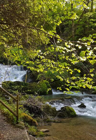 Brühlbach Wasserfall