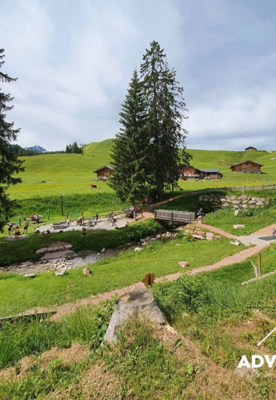 Lofer Almenwelt