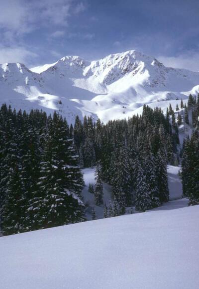 Ausblick auf das Grünhorn