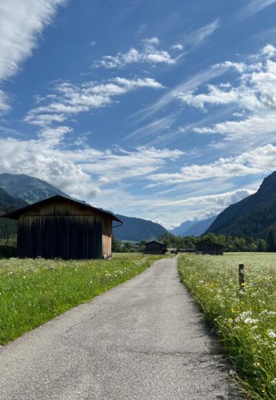 Lechradweg bei Steeg