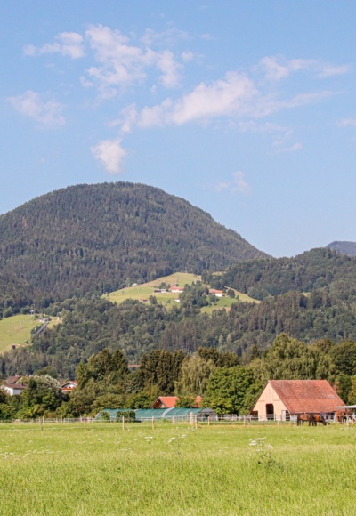 Ortsansicht mit Brünnstein und Hocheck