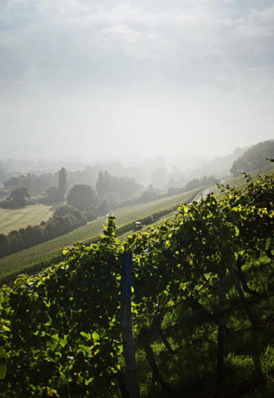 Franken Weinregionen