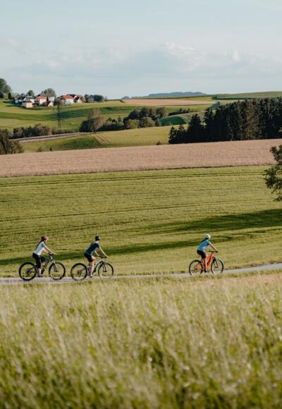Radfahren durchs hügelige Mühlviertel