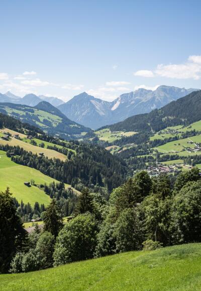 Blick auf Alpbach