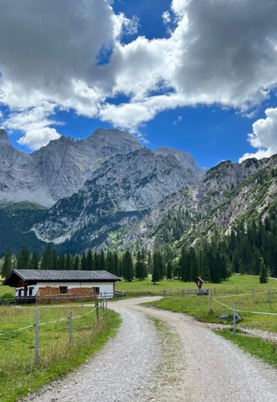 Rontalalm