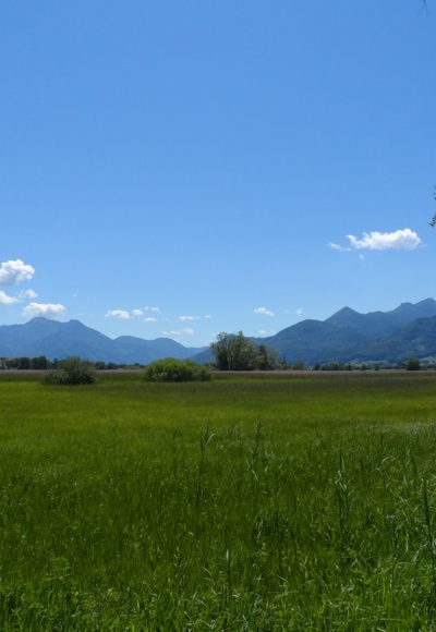 Moor am Chiemsee