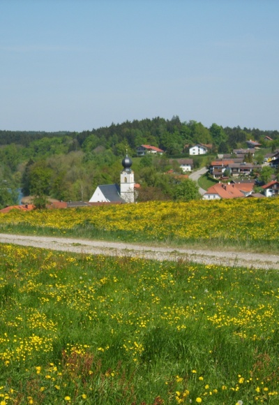 Keltenschanze