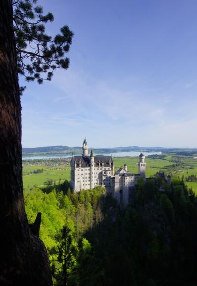 Neuschwanstein