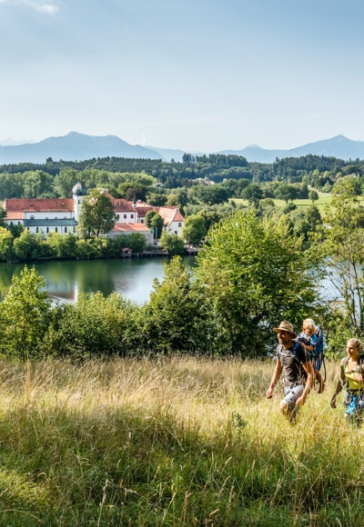Weinbergaussicht