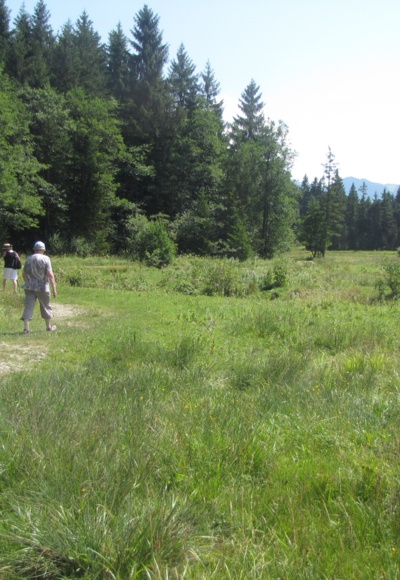 Auf der Haselbachrunde  in Bad Bayersoien