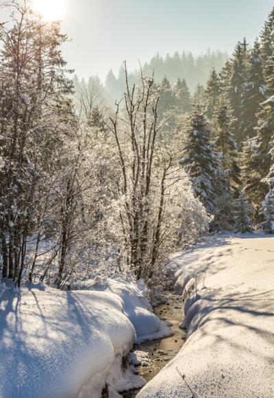 Winterwandern