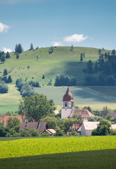Der Gelbe Berg hinter Sammenheim