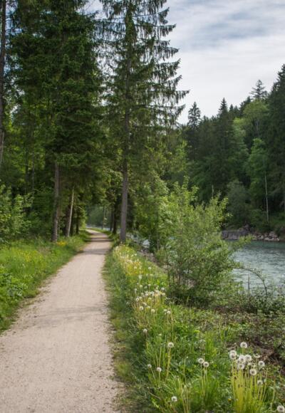Die Josefsallee führt entlang der Saalach