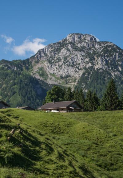 kurz vor der Kammerlingalm im Naturpark Weißbach