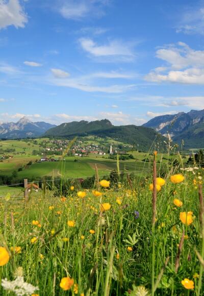 Ausblick vom Bergwiesenpfad auf Pfronten